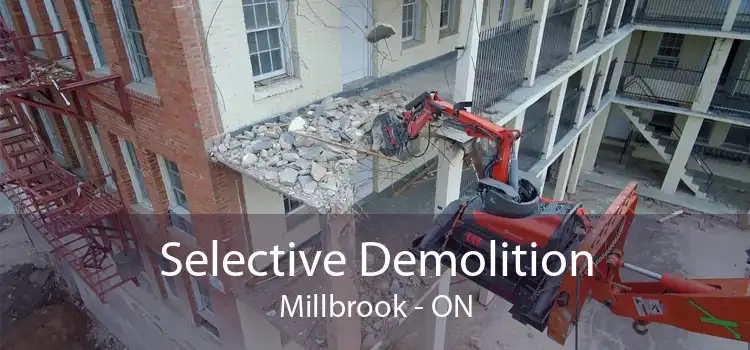 Selective Demolition Millbrook - ON