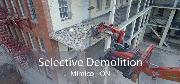 Selective Demolition Mimico - ON