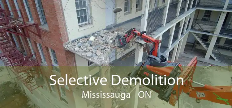 Selective Demolition Mississauga - ON