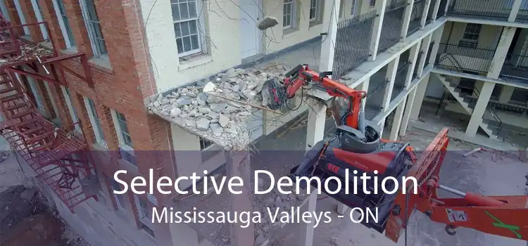 Selective Demolition Mississauga Valleys - ON