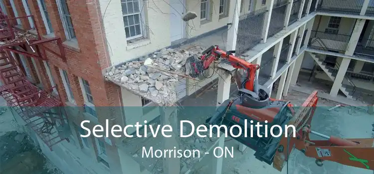 Selective Demolition Morrison - ON