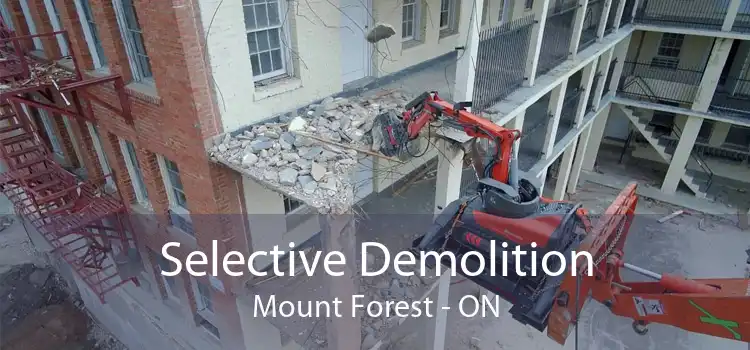 Selective Demolition Mount Forest - ON