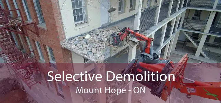 Selective Demolition Mount Hope - ON