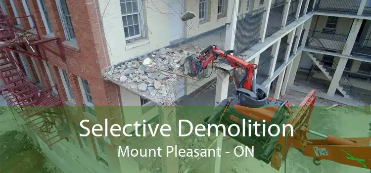 Selective Demolition Mount Pleasant - ON
