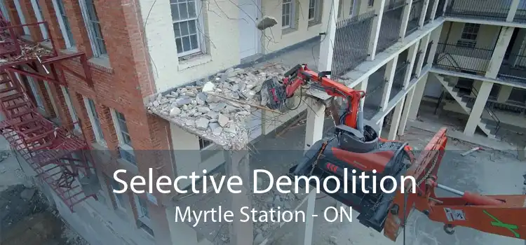 Selective Demolition Myrtle Station - ON