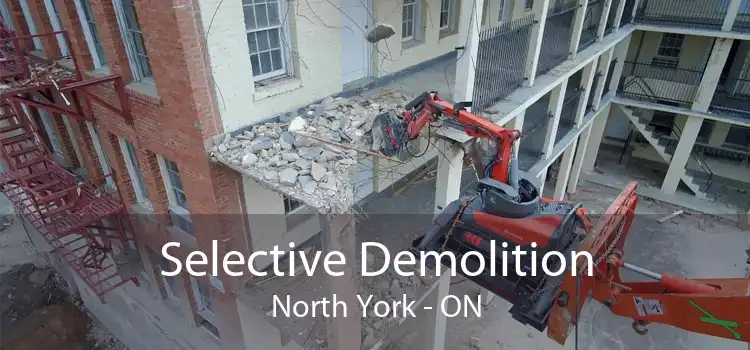 Selective Demolition North York - ON