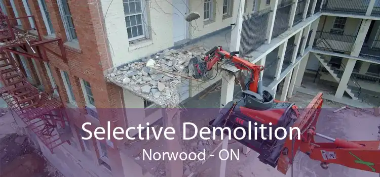 Selective Demolition Norwood - ON