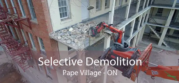 Selective Demolition Pape Village - ON
