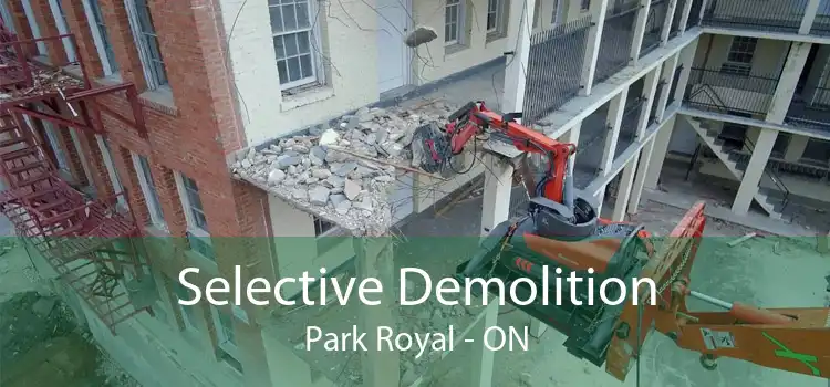 Selective Demolition Park Royal - ON