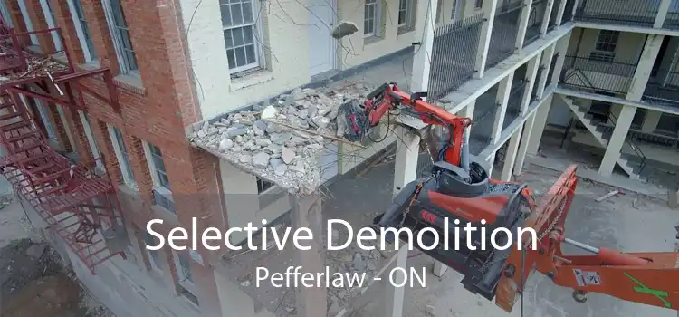 Selective Demolition Pefferlaw - ON
