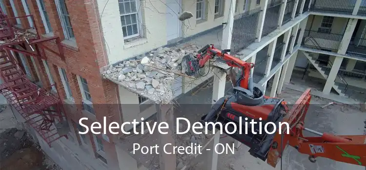 Selective Demolition Port Credit - ON