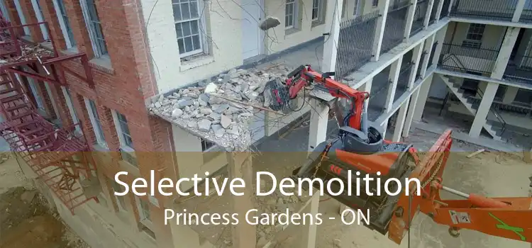 Selective Demolition Princess Gardens - ON