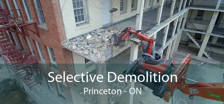 Selective Demolition Princeton - ON