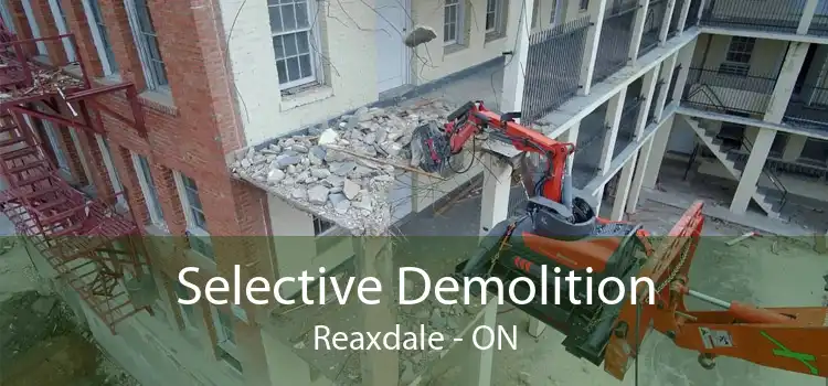 Selective Demolition Reaxdale - ON