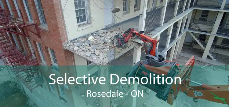 Selective Demolition Rosedale - ON