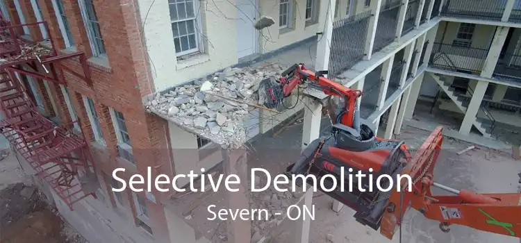 Selective Demolition Severn - ON