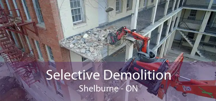 Selective Demolition Shelburne - ON