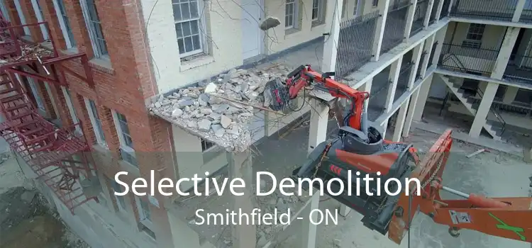 Selective Demolition Smithfield - ON