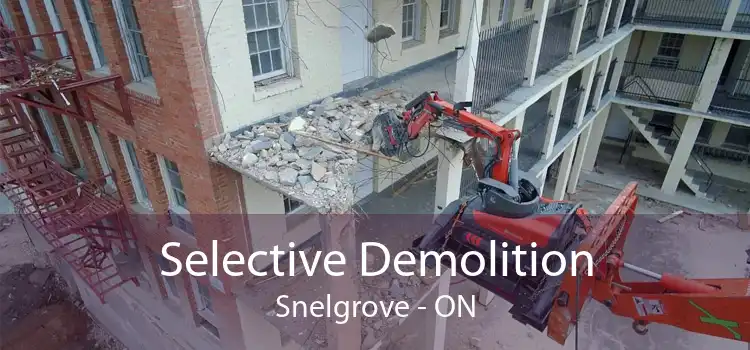 Selective Demolition Snelgrove - ON