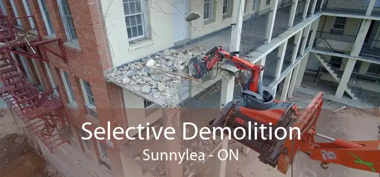 Selective Demolition Sunnylea - ON