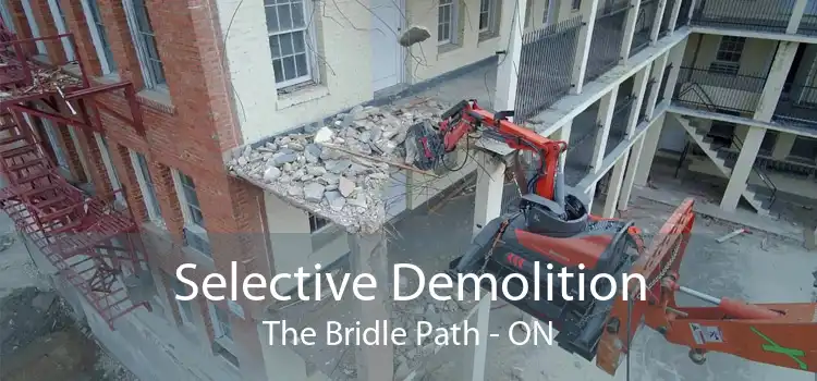 Selective Demolition The Bridle Path - ON