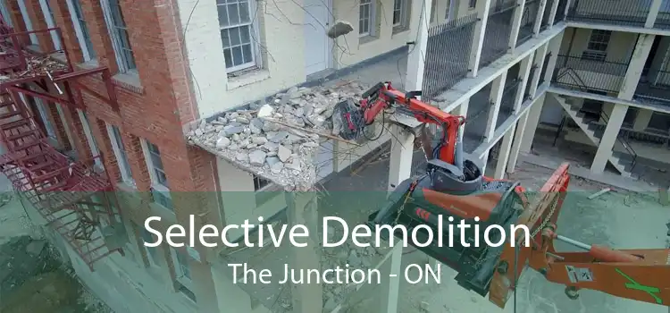 Selective Demolition The Junction - ON