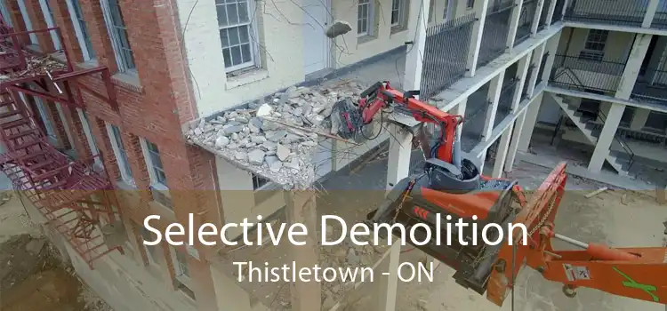Selective Demolition Thistletown - ON