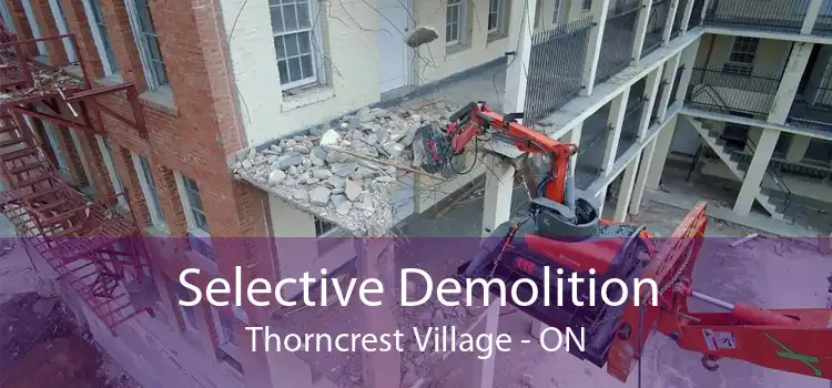 Selective Demolition Thorncrest Village - ON