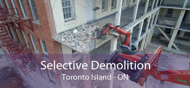 Selective Demolition Toronto Island - ON