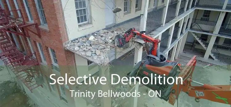 Selective Demolition Trinity Bellwoods - ON