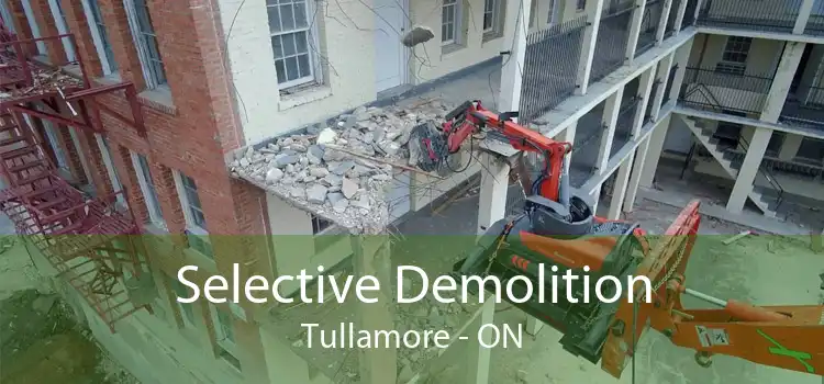 Selective Demolition Tullamore - ON