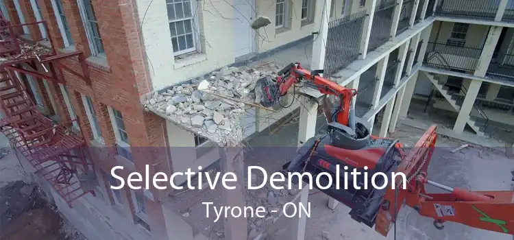 Selective Demolition Tyrone - ON