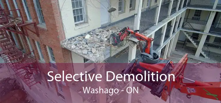 Selective Demolition Washago - ON