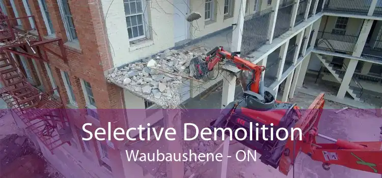 Selective Demolition Waubaushene - ON