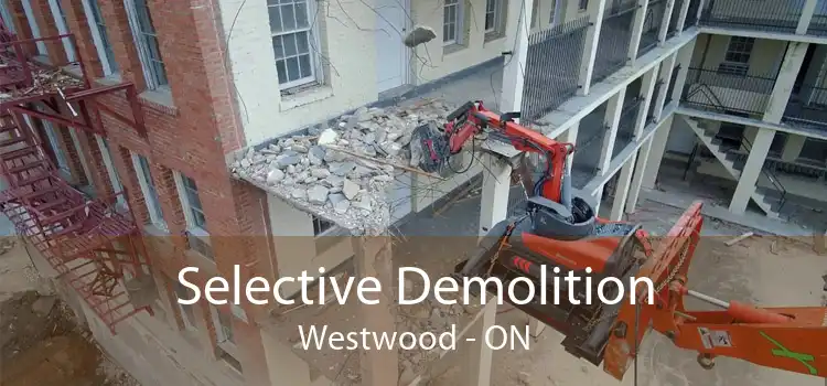Selective Demolition Westwood - ON