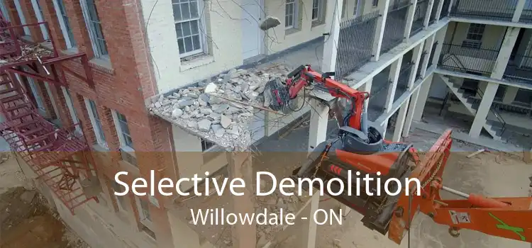 Selective Demolition Willowdale - ON