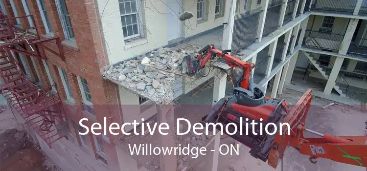 Selective Demolition Willowridge - ON