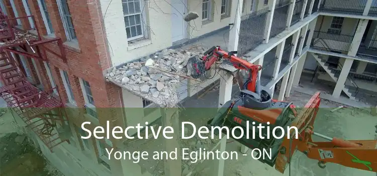 Selective Demolition Yonge and Eglinton - ON