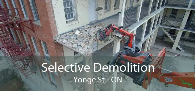 Selective Demolition Yonge St - ON