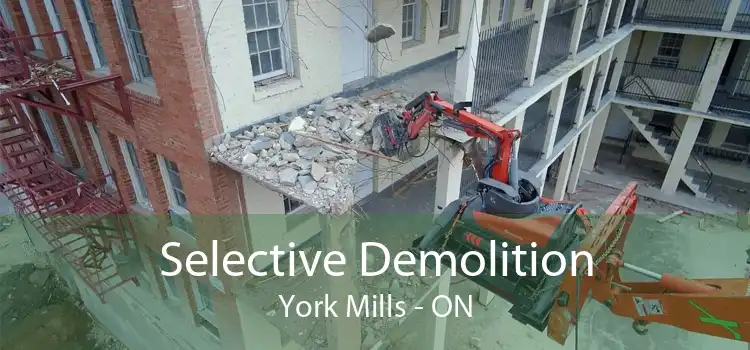 Selective Demolition York Mills - ON
