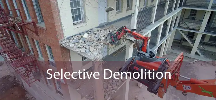 Selective Demolition
