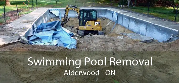 Swimming Pool Removal Alderwood - ON