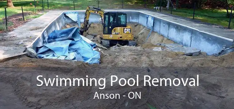 Swimming Pool Removal Anson - ON