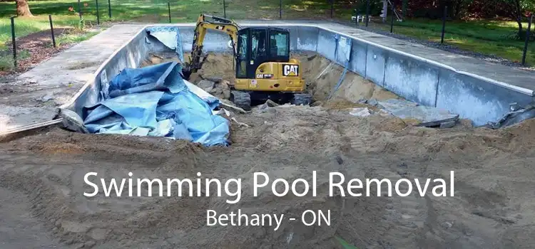 Swimming Pool Removal Bethany - ON