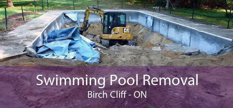 Swimming Pool Removal Birch Cliff - ON
