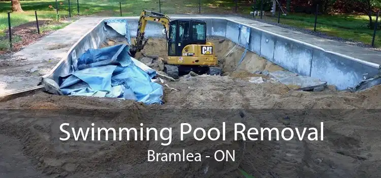 Swimming Pool Removal Bramlea - ON
