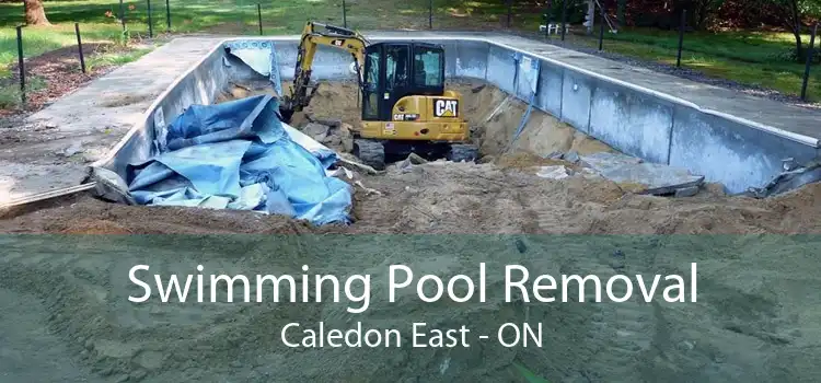Swimming Pool Removal Caledon East - ON