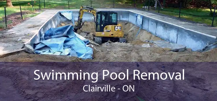 Swimming Pool Removal Clairville - ON