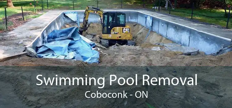 Swimming Pool Removal Coboconk - ON