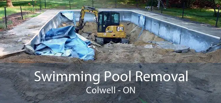 Swimming Pool Removal Colwell - ON